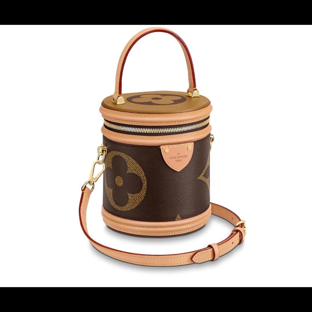 Louis Vuitton Cannes Handbag